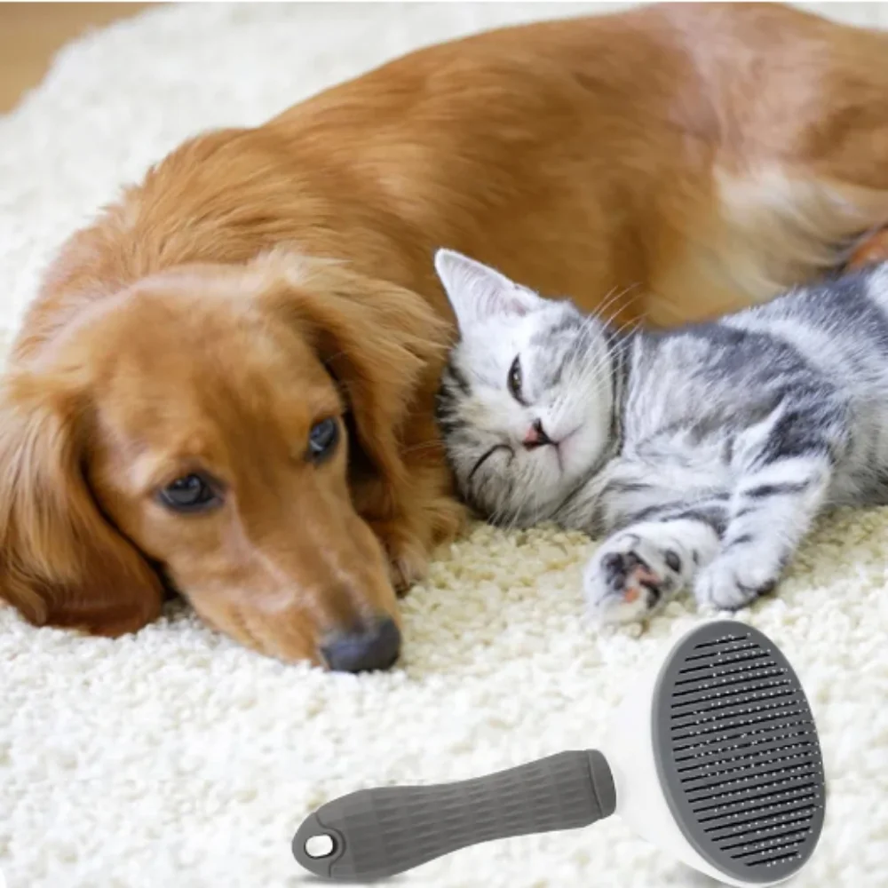 Self Cleaning Slicker Brush